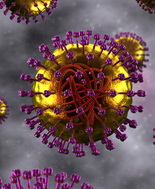 Hiv, possibile eradicazione con trappola per virus